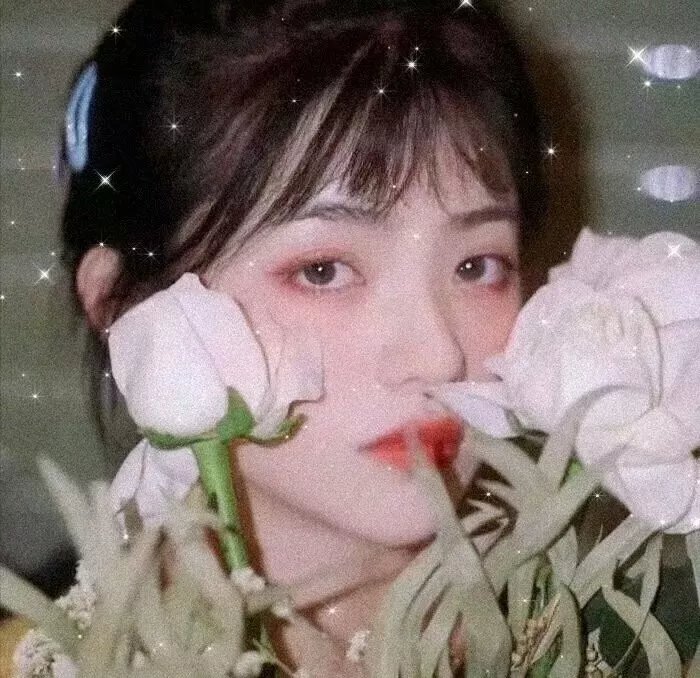 探长与海:在黑森林中独行